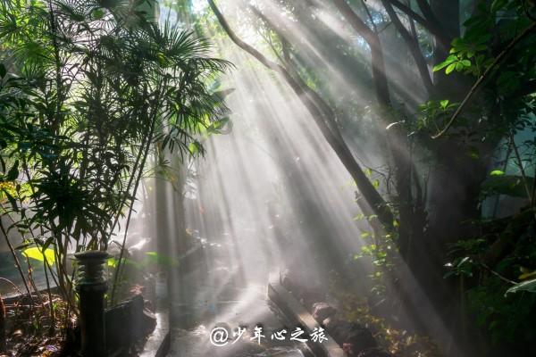 成都居然之家怎么走-全方位有问必答平台